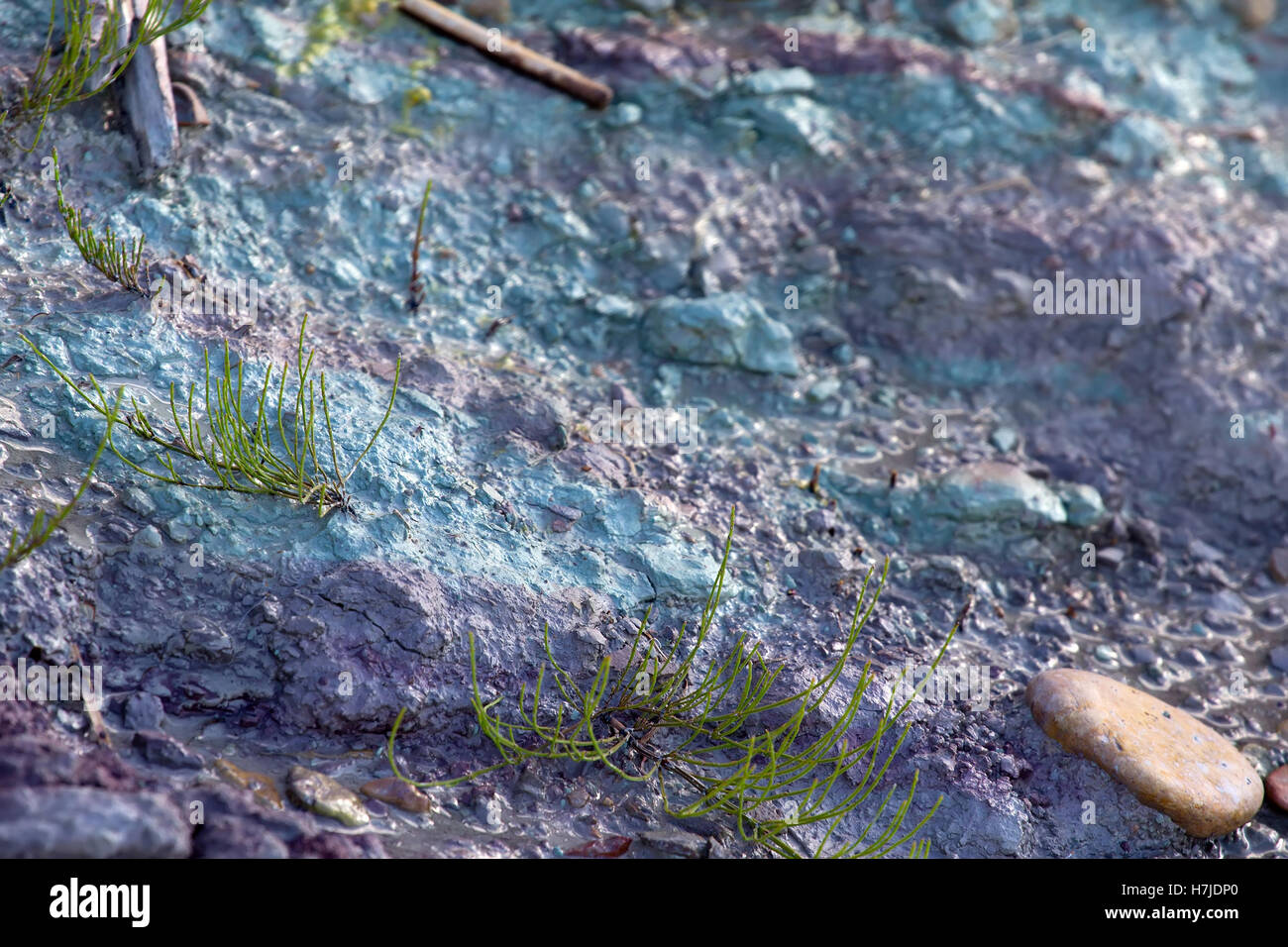 Глина Кембрийская Купить Оптом