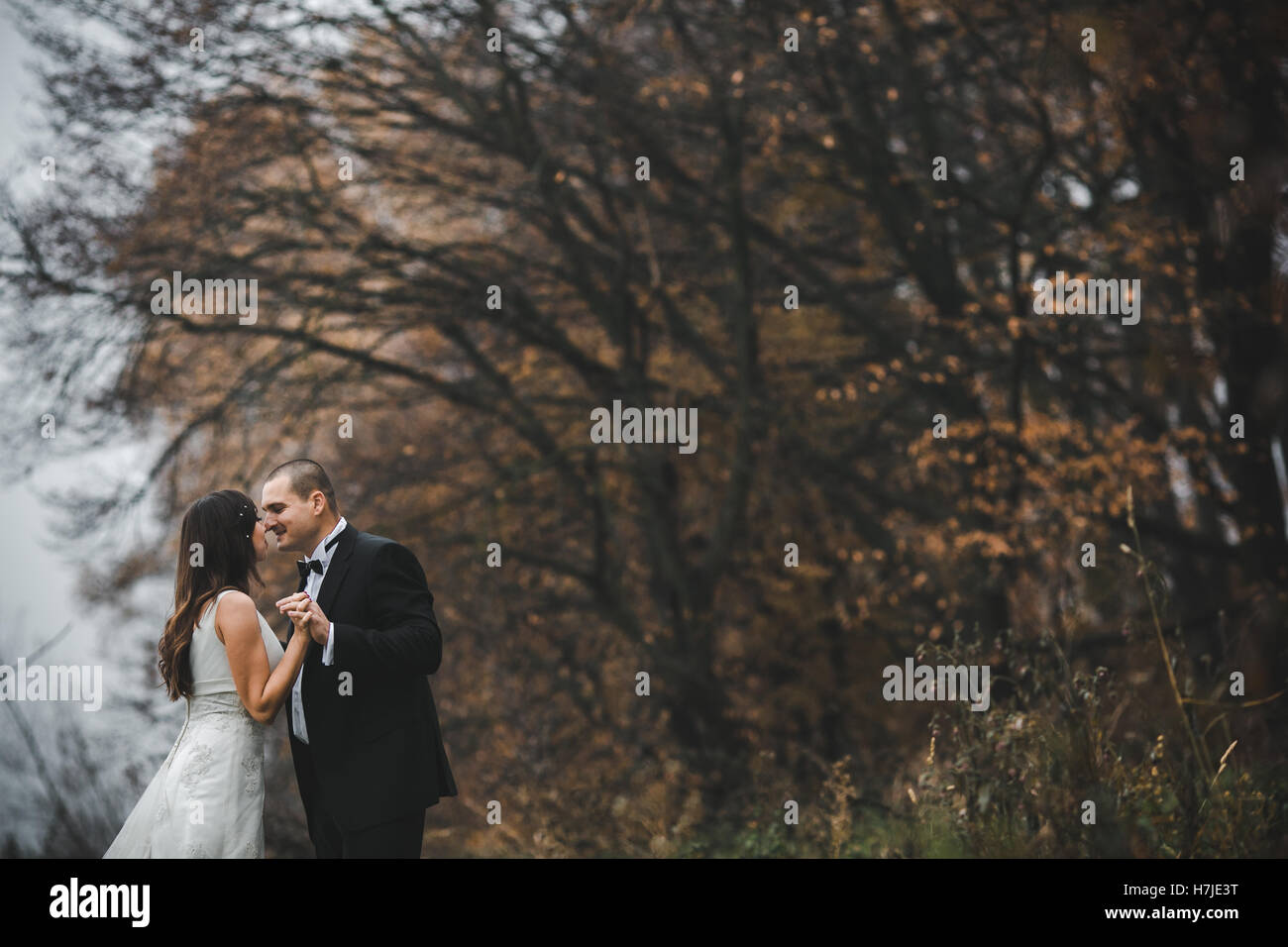 happy bride and groom posing in the autumn forest Stock Photo - Alamy