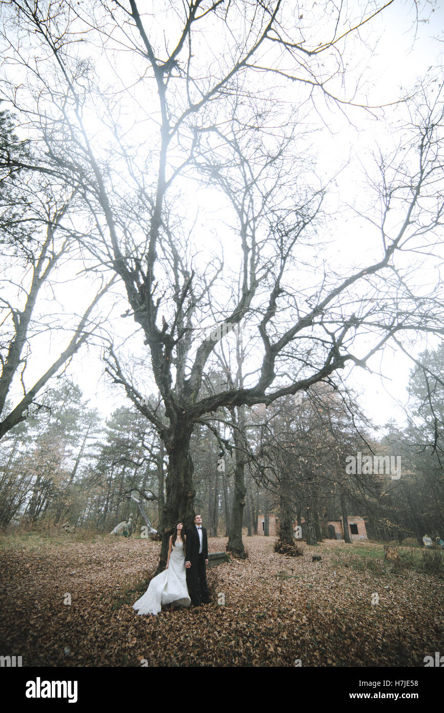 happy bride and groom posing in the autumn forest Stock Photo - Alamy