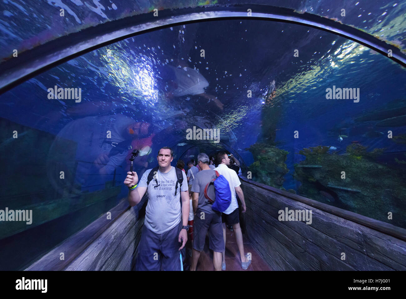 Malta National Aquarium, Qawra-Buggiba. Walk through tunnel. Stock Photo