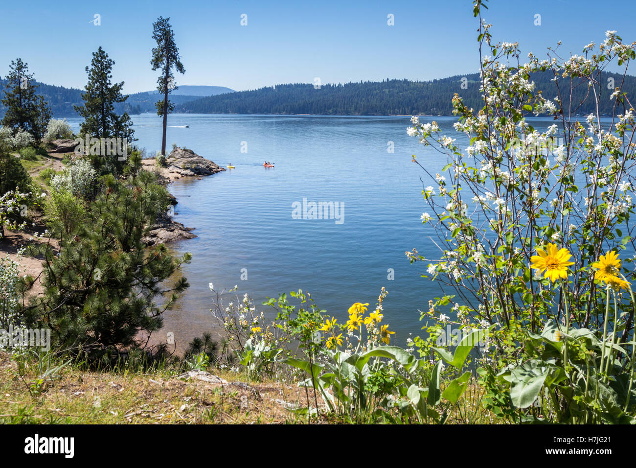 Coeur d' Alene, Idaho - April 20: Kayakers and boaters enjoying beautiful summer day, photo taken form Tubs Hill. April 20 2016  Stock Photo