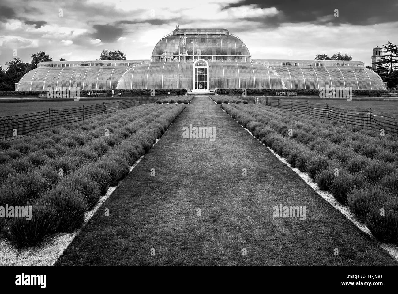 Palm House, Kew Gardens Stock Photo