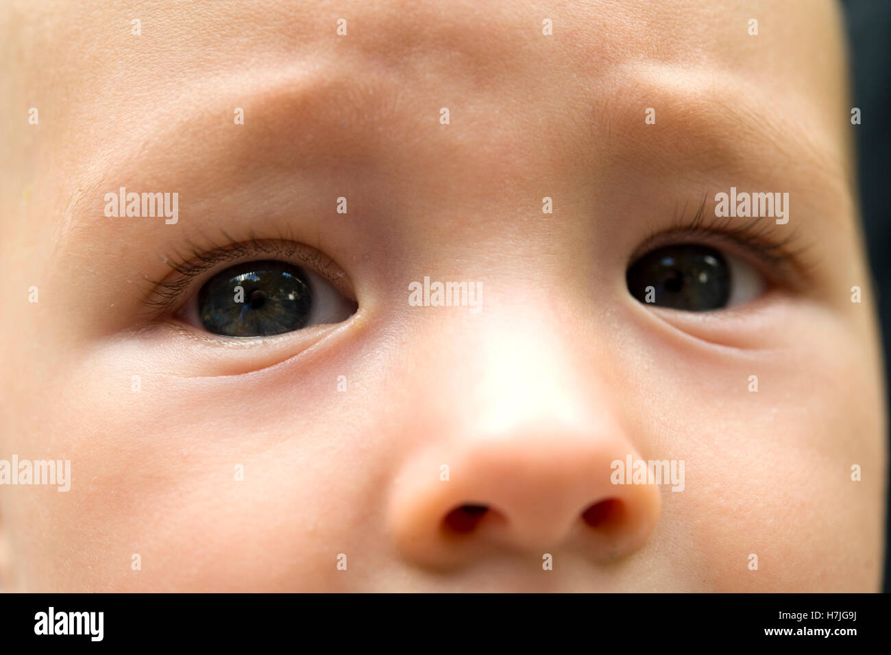 Eyes of a 6-months old baby Stock Photo