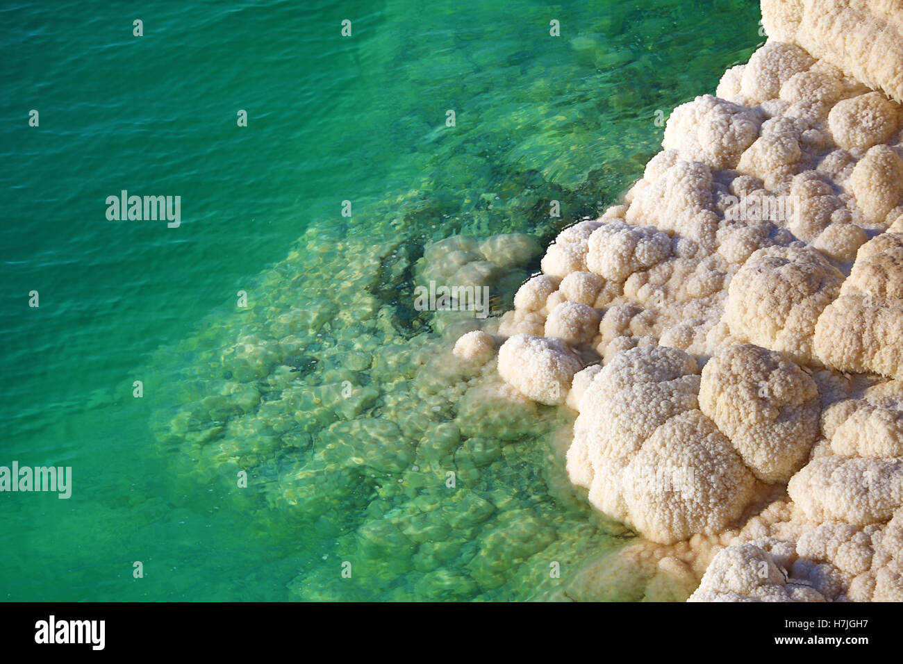 Salt deposits on the rocky shoreline of the Dead Sea, Jordan Stock ...