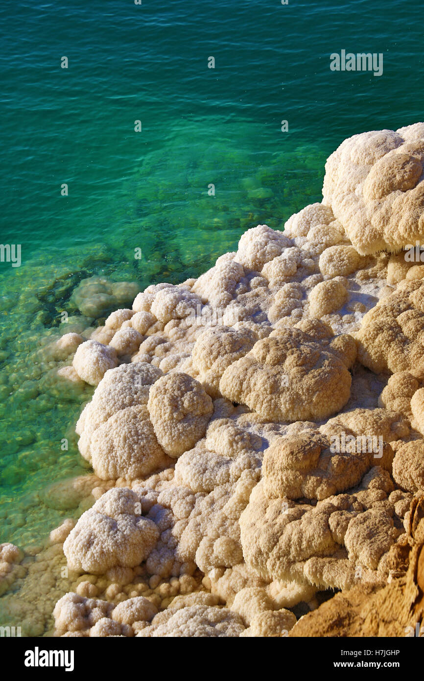 Salt deposits on the rocky shoreline of the Dead Sea, Jordan Stock Photo