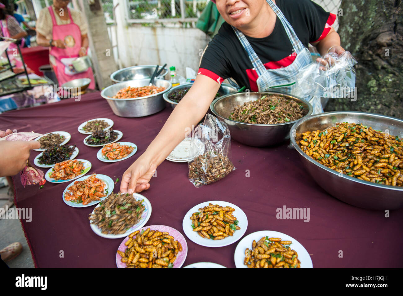 Fried cockroaches and other insects for sale in the Issarn town of Nong Khai, Thailand. Insects are being herald as a sustainable protein source. Stock Photo
