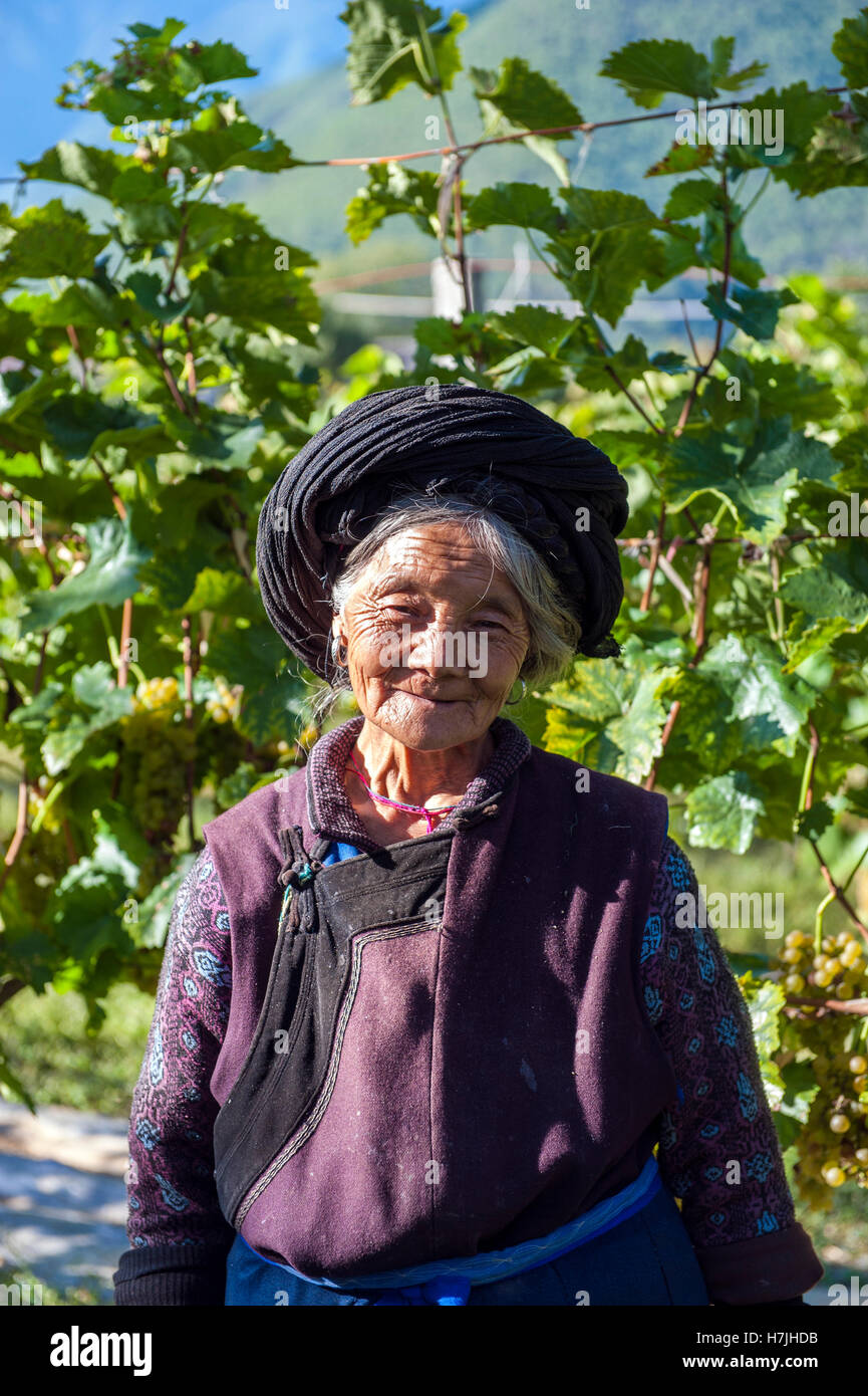 Xiao Yu Ying An Ethnic Naxi Woman In Her Familys Vineyard - 