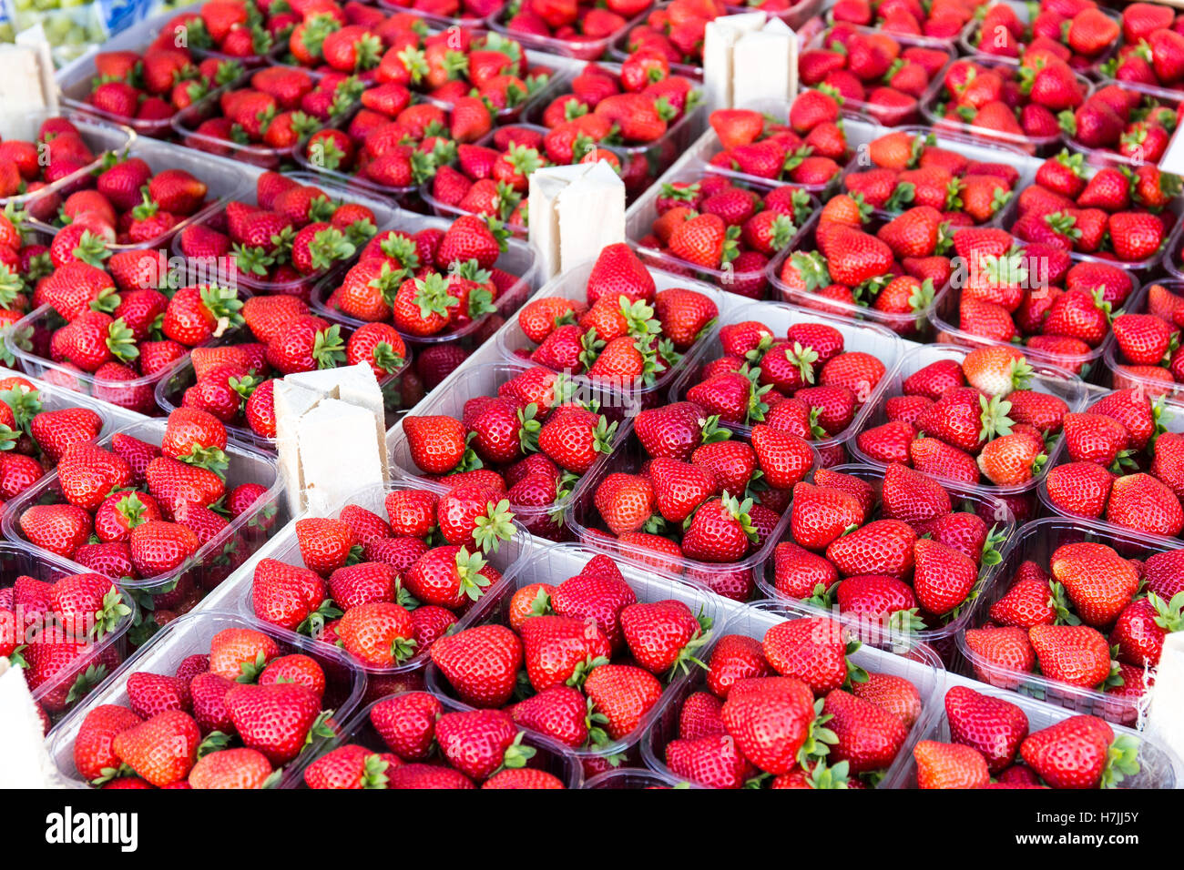 strawberries in boxes for sale at the weekly street market in Aubel