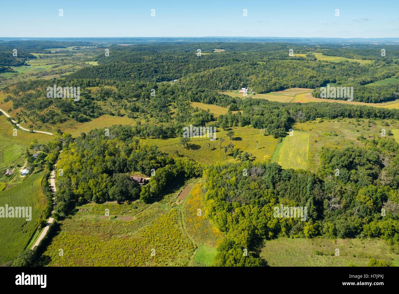 Aerial view of an oak tree in a field of hires stock photography and