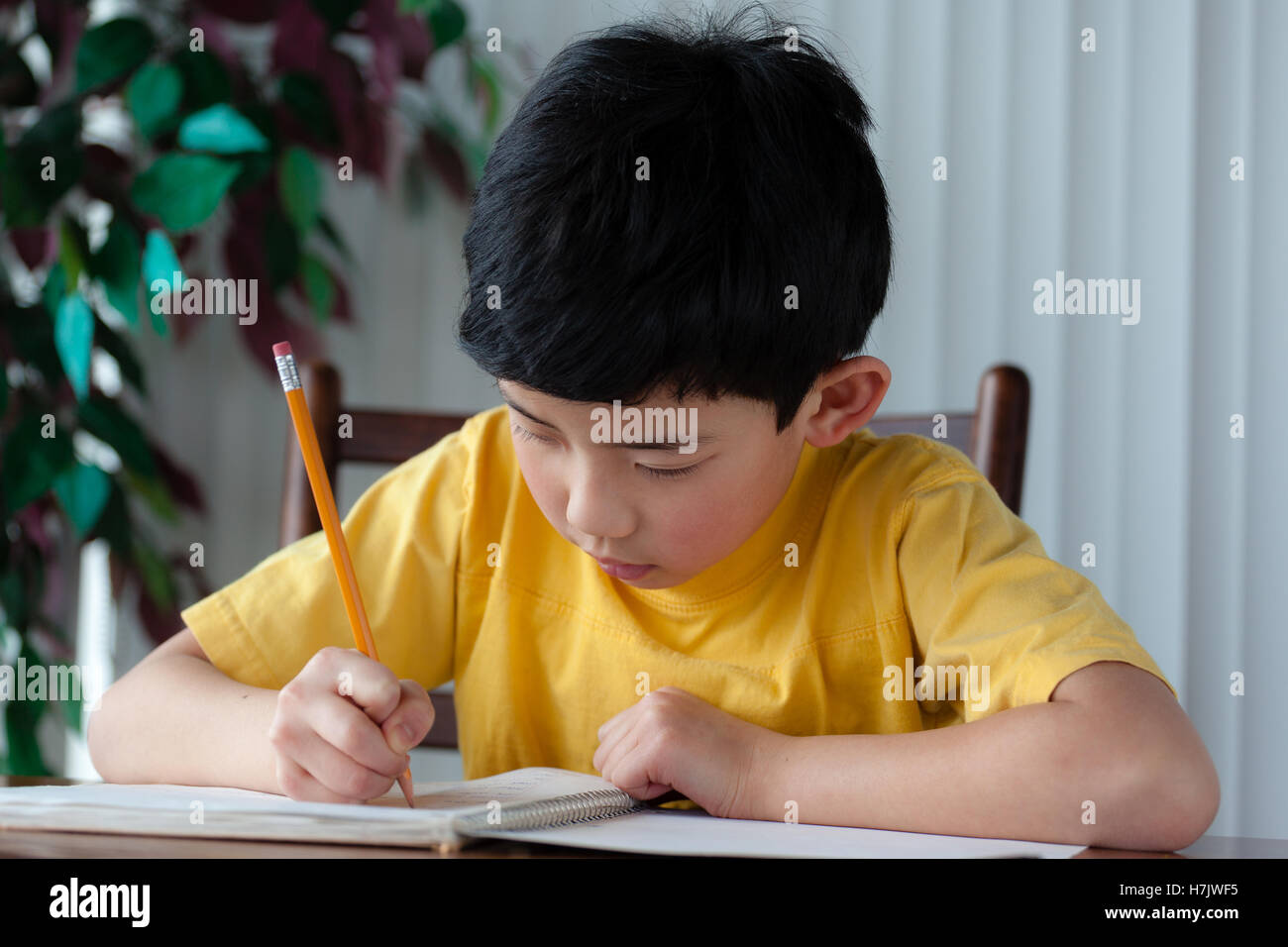 An Asian boy doing his homework at home. Stock Photo