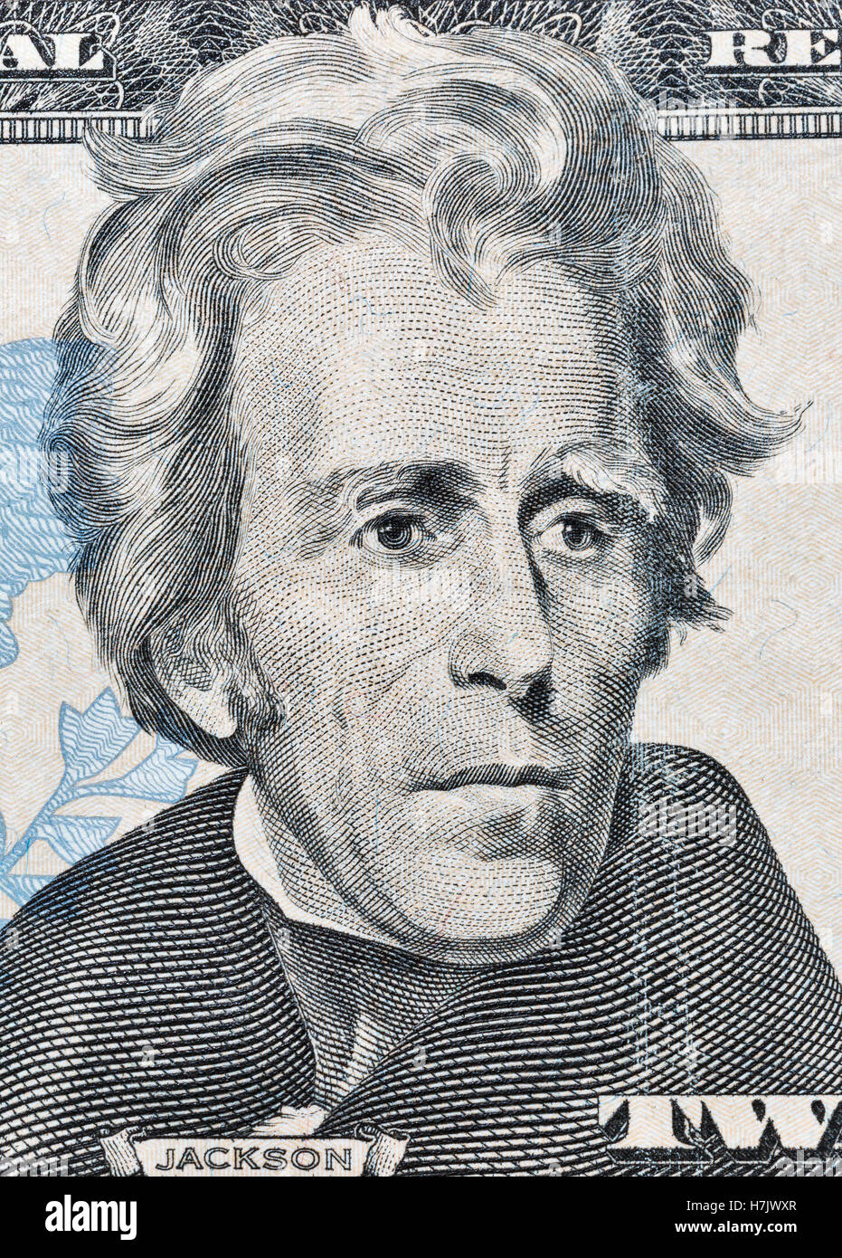 Portrait of the 7th US President Andrew Jackson on twenty dollar banknote bill macro, front side obverse. Stock Photo