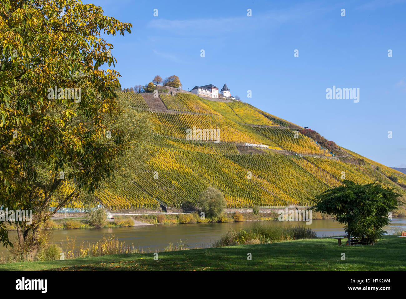 Moselle river, near Pünderich, Moselle valley, Germany Stock Photo