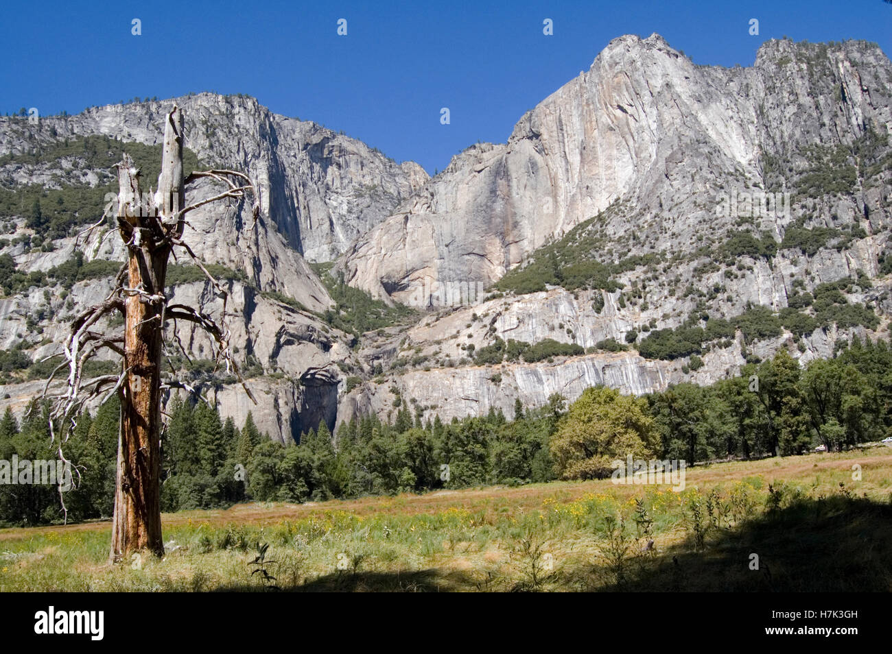 U..S.A.CALIFORNIA; YOSEMITE NATIONAL PARK HALF DOME FROM MIRROR LAKE ...