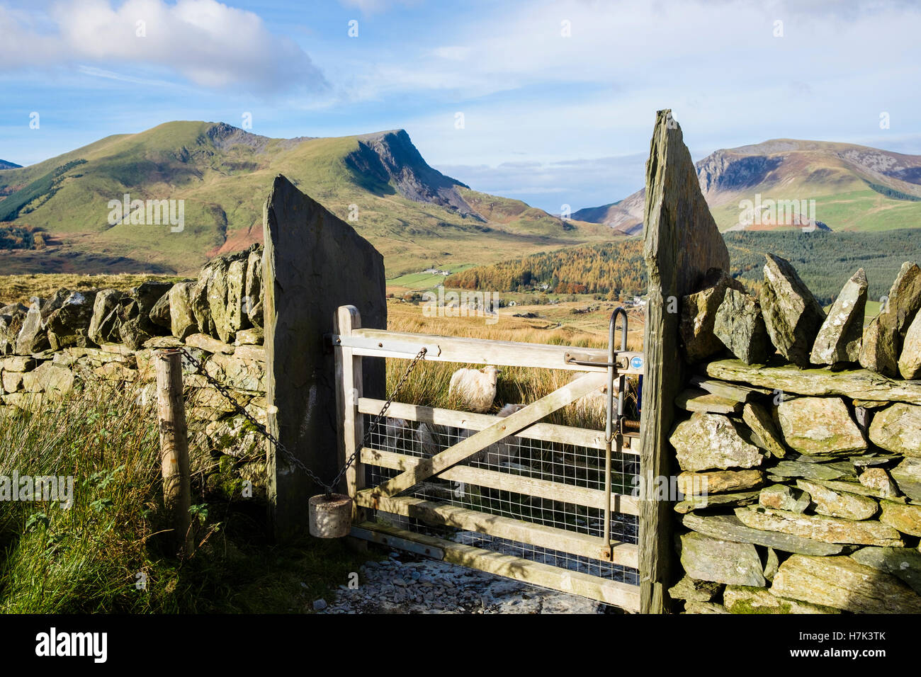 Gate access through dry stone wall on Rhyd-Ddu path to mount Snowdon with view to mountains in Snowdonia National Park. Gwynedd North Wales UK Britain Stock Photo