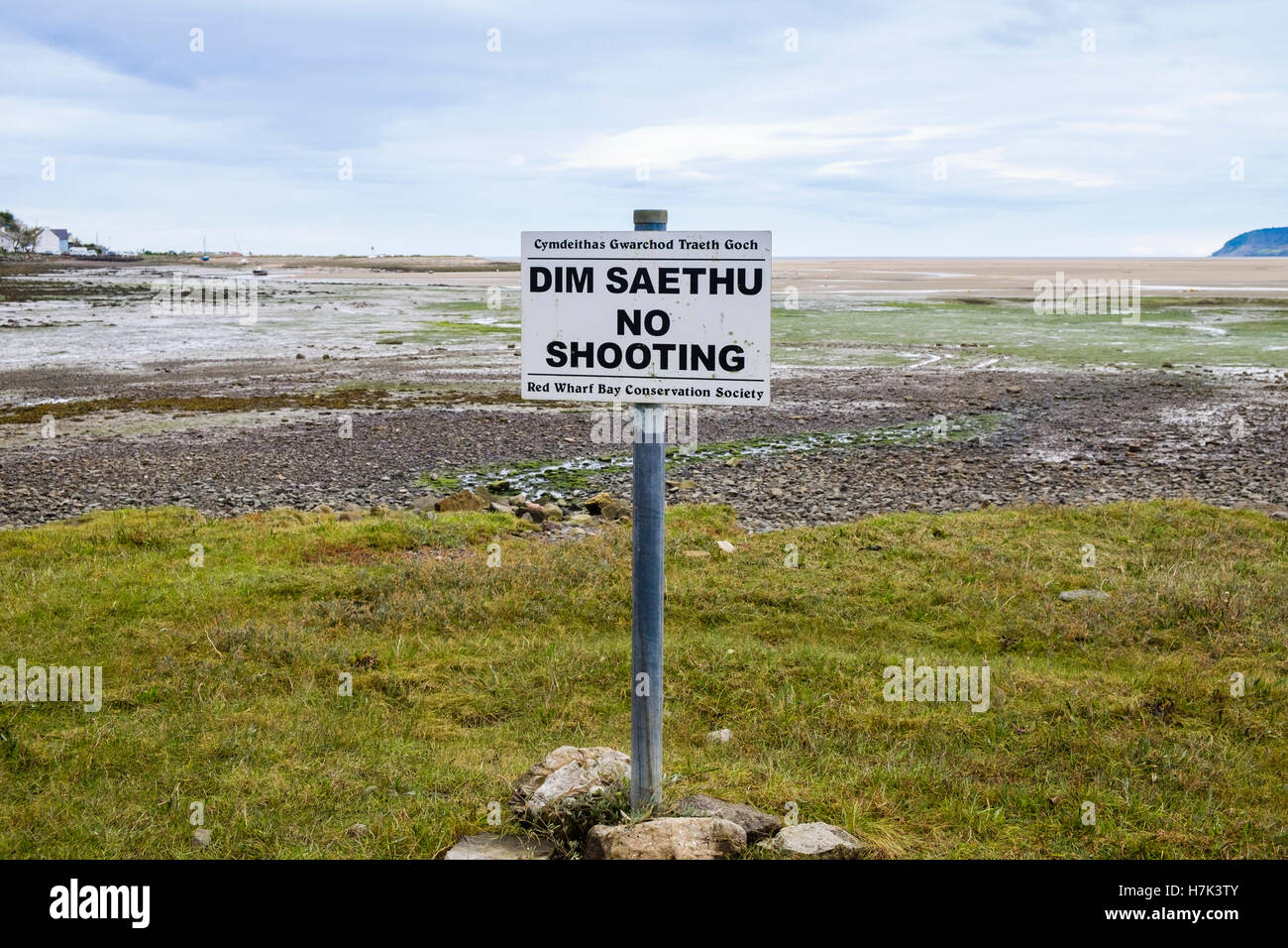 Bilingual 'No Shooting' sign in Welsh and English on salt marsh habitat in Red Wharf Bay (Traeth Coch) Isle of Anglesey Wales UK Britain Stock Photo