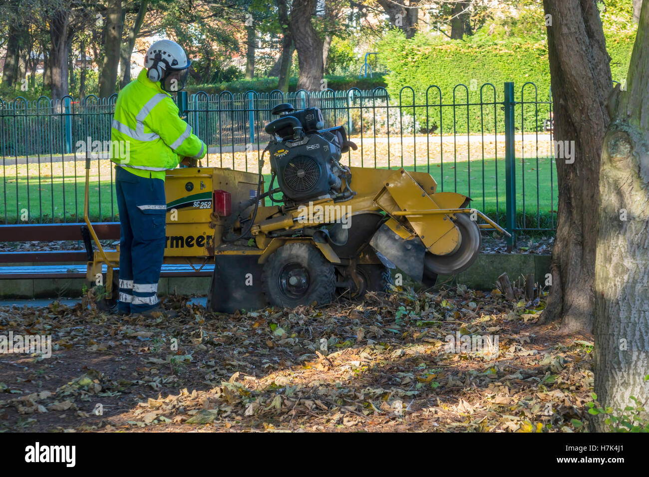 A gardener in full protective clothing using a Vermeer SC252 Stump