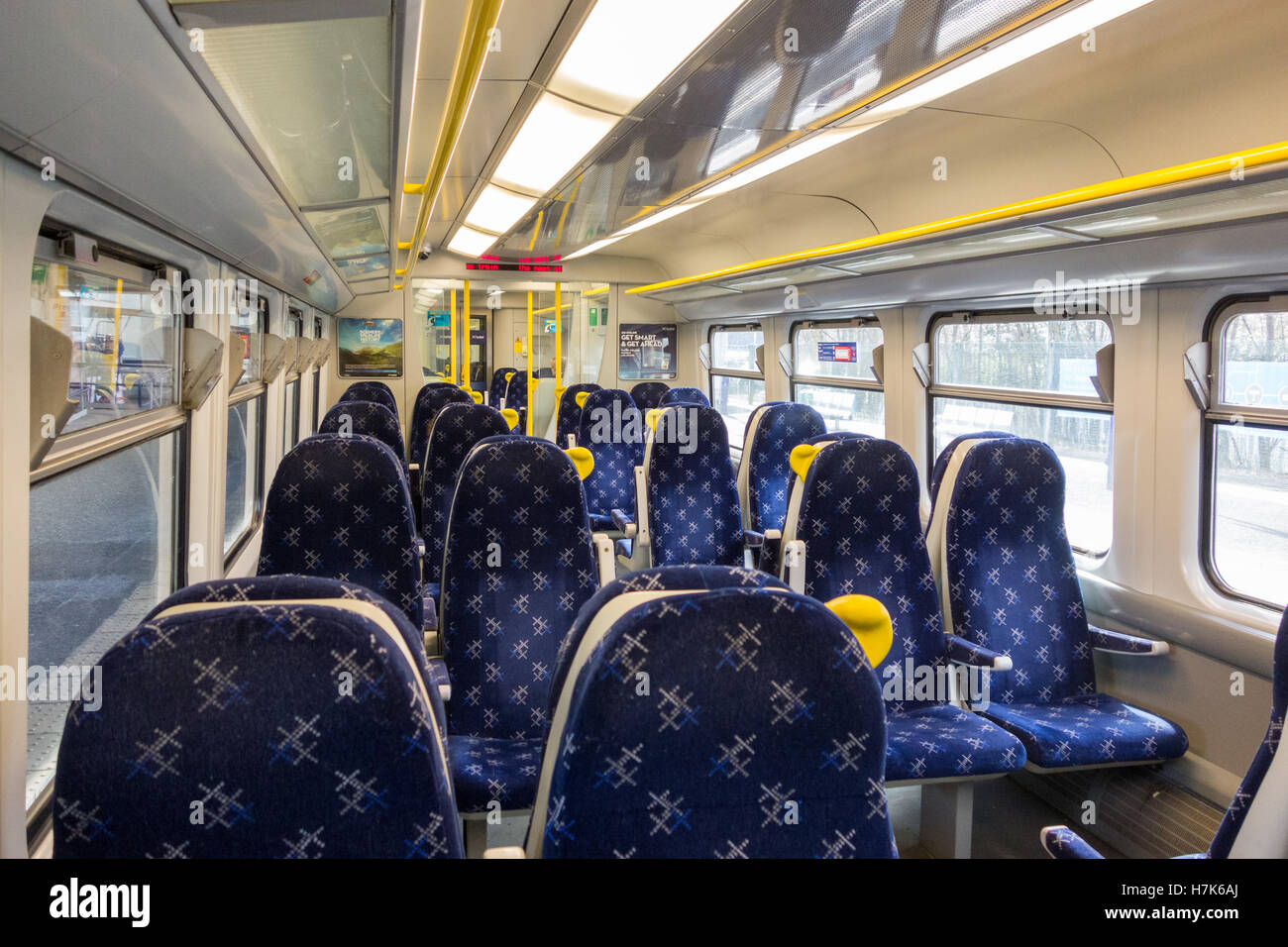 Are Dogs Allowed On Trains Scotrail