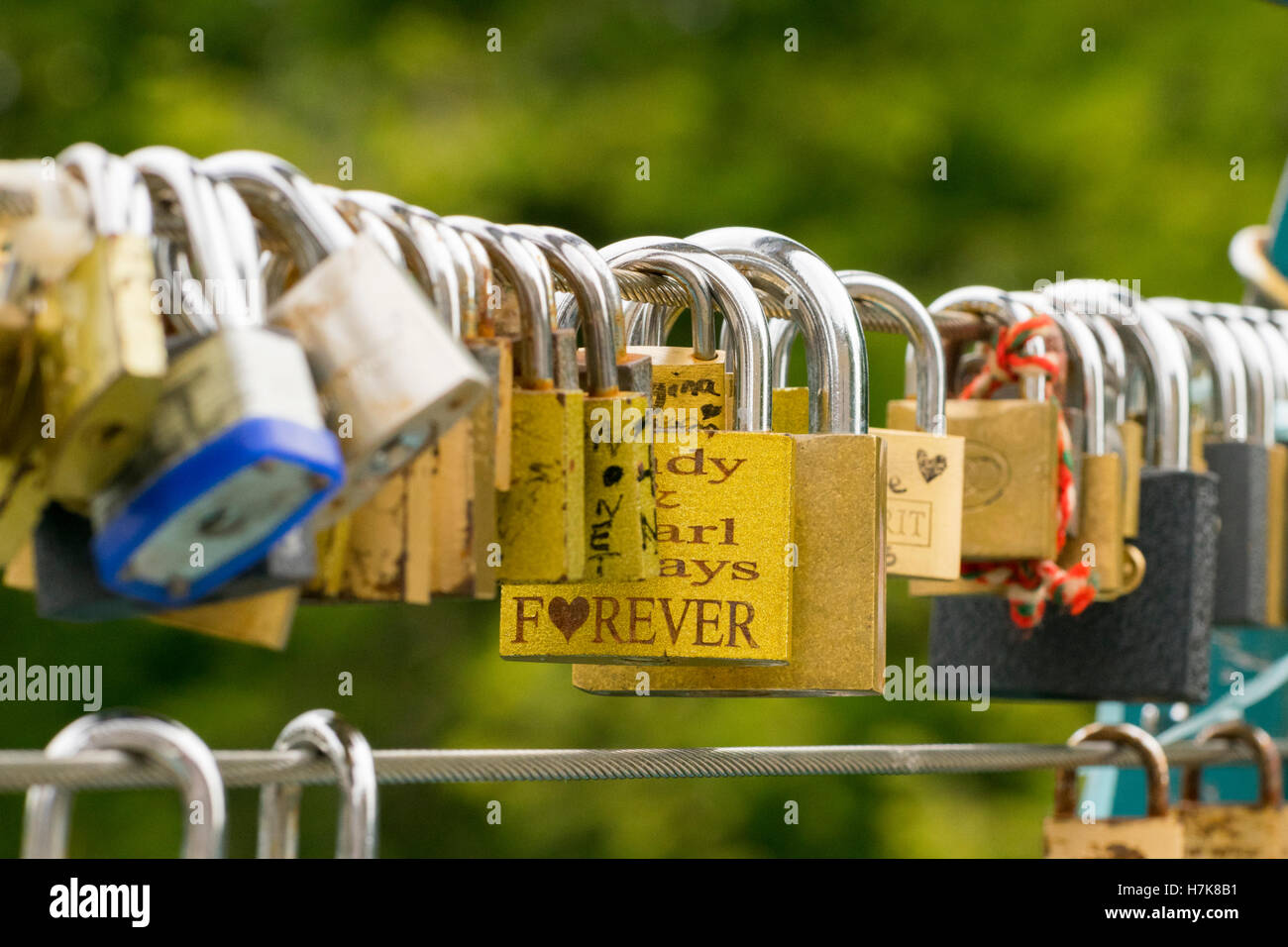 Memory padlocks on a bridge in bakewell, derbyshire Stock Photo Alamy