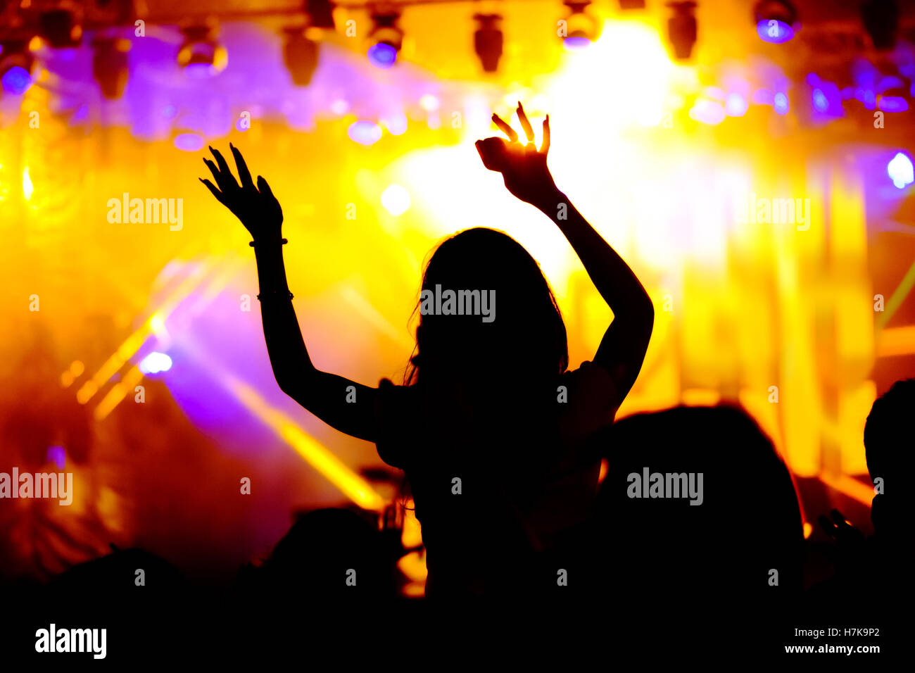 Concert crowd dancing at an open-air venue
