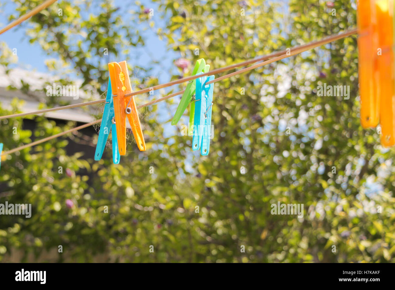 Coloured plastic pegs on the clothes line in Australian summer Stock Photo
