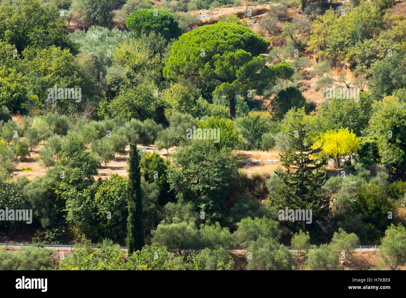 Griechenland, Kreta, Landschaft zwischen den Ortschaften Damasta und Astrino westlich von Heraklion, Stock Photo