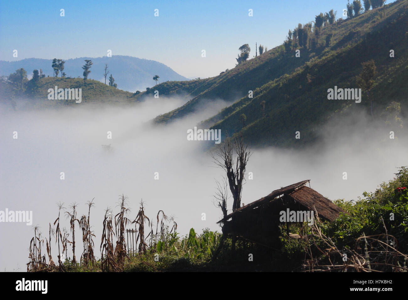 View of foggy mountain peaks surrounded by morning mist in Northern Thailand. Taken while on an eco tour hiking through Chaing Mai. Stock Photo