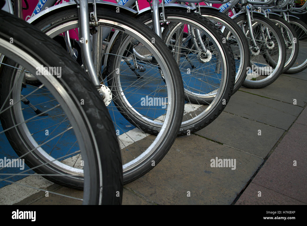 Bicycle wheels bike line Stock Photo