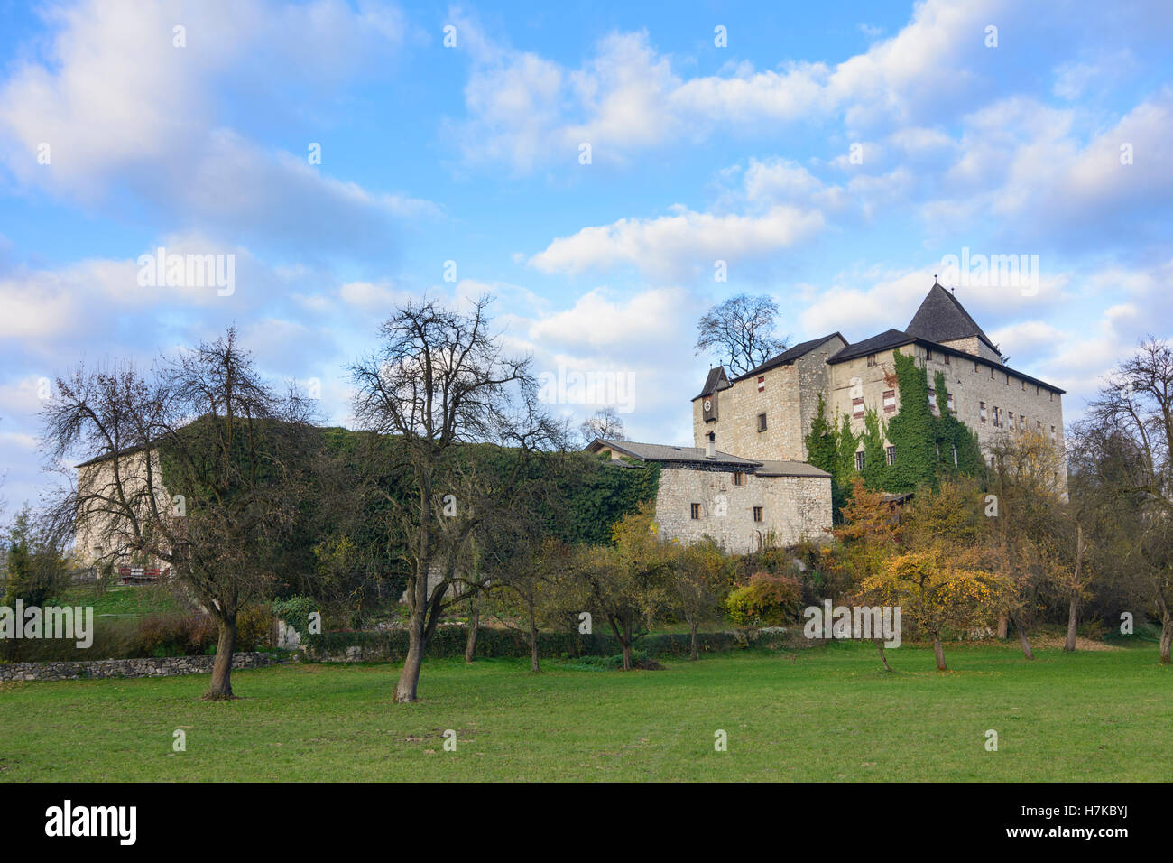 Münster: Lichtenwerth Castle, Alpbachtal & Tiroler Seenland Region, Tirol, Tyrol, Austria Stock Photo