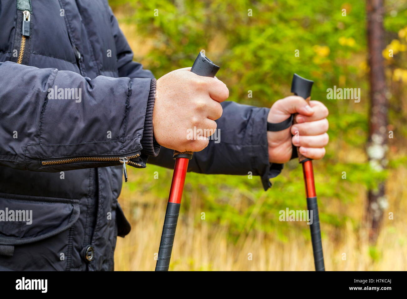 Hiker with hiking poles hi-res stock photography and images - Alamy