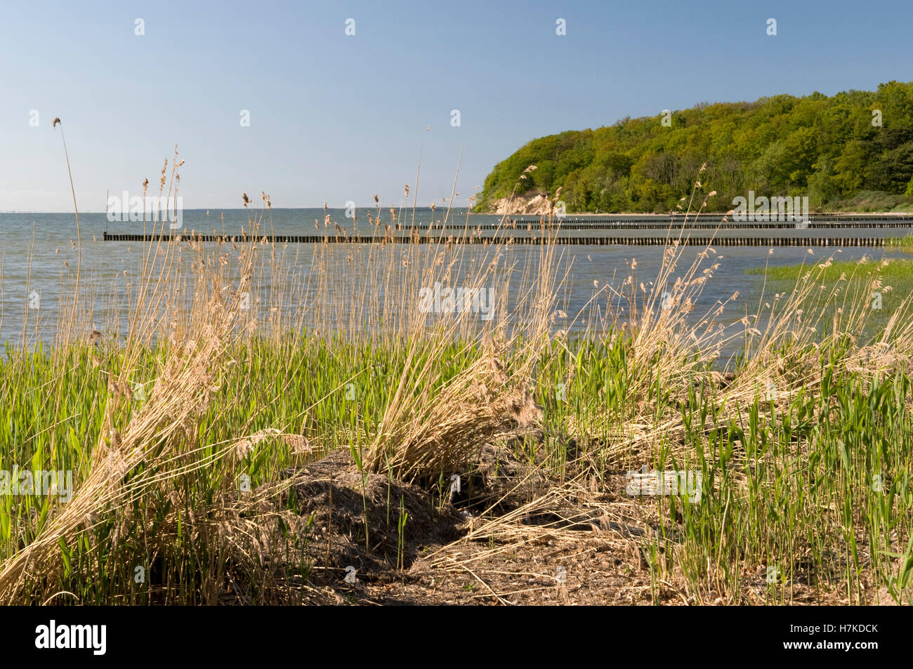 Grosser Jasmunder Bodden, a bay near Lietzow, Isle of Ruegen, Mecklenburg-Western Pomerania Stock Photo