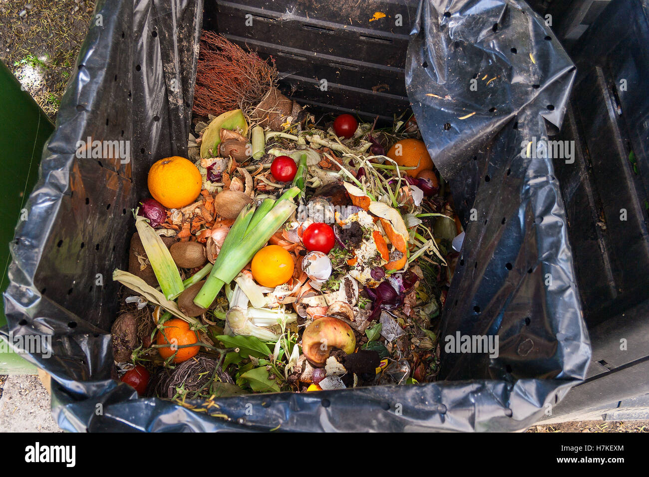 fresh household scrap in the compost bin Stock Photo