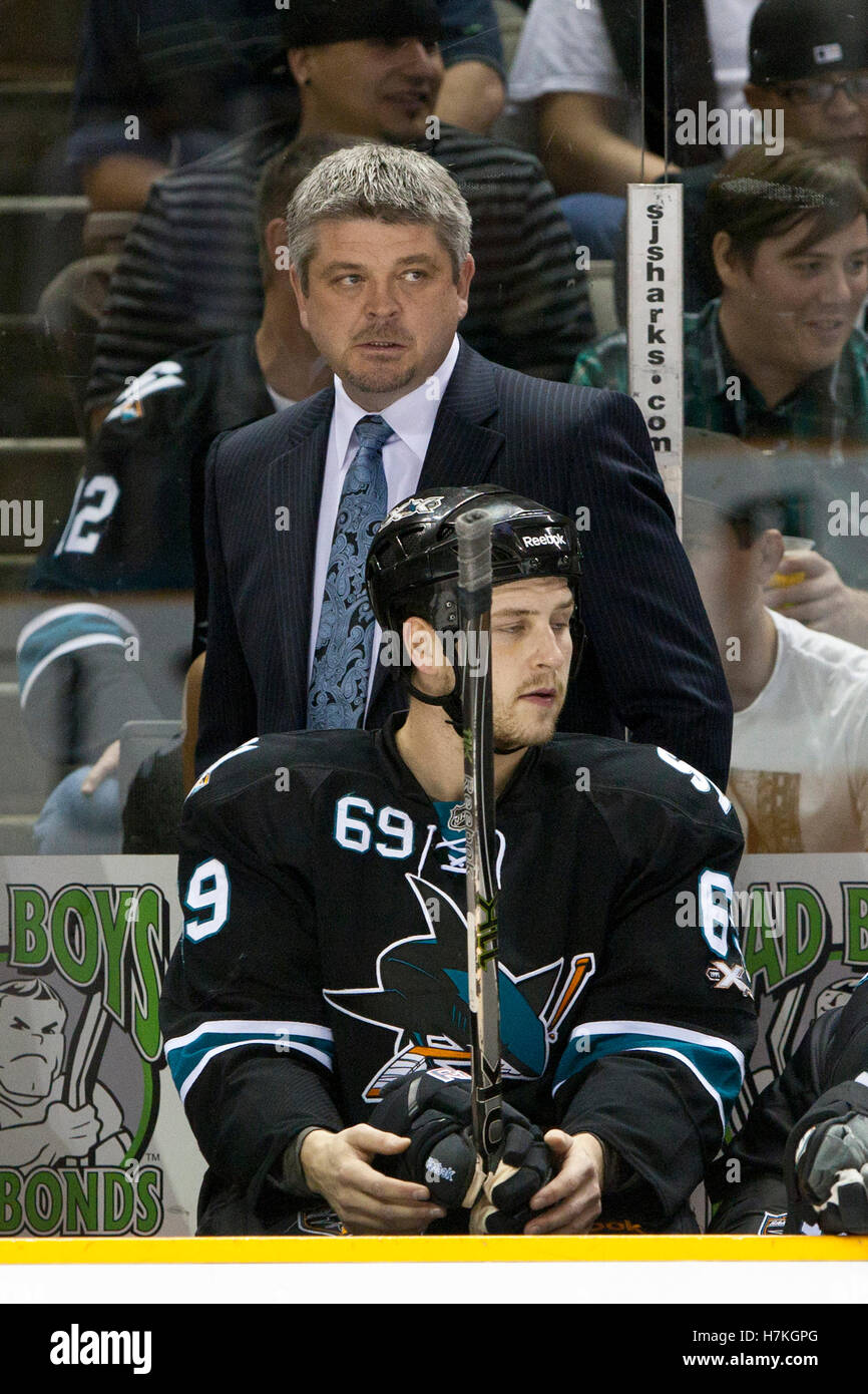 March 31, 2011; San Jose, CA, USA;  San Jose Sharks head coach Todd McLellan stands on the bench during the first period against the Dallas Stars at HP Pavilion. Stock Photo