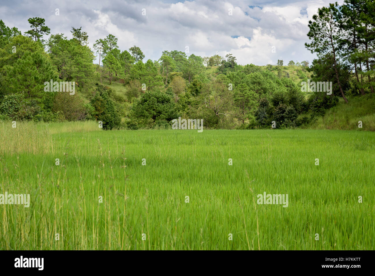 Asian landscape hi-res stock photography and images - Alamy