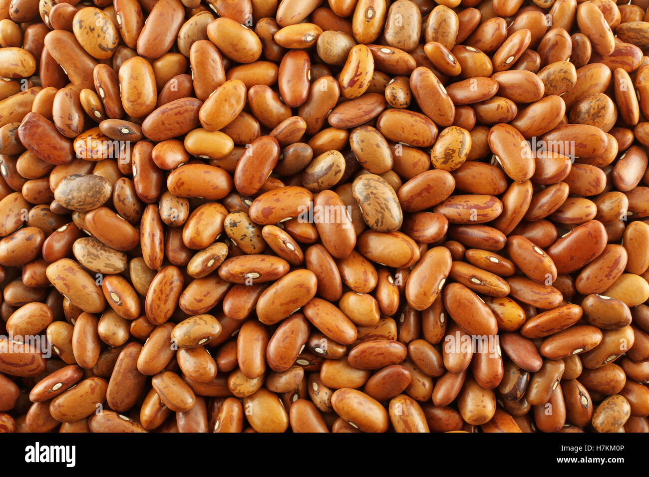Food background raw light brown kidney beans Stock Photo Alamy