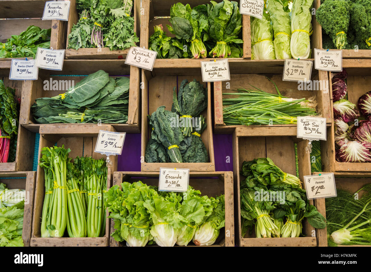 Fresh produce for sale at the Farmer's Market in Riverfront Park, Corvallis, Oregon, USA. Stock Photo