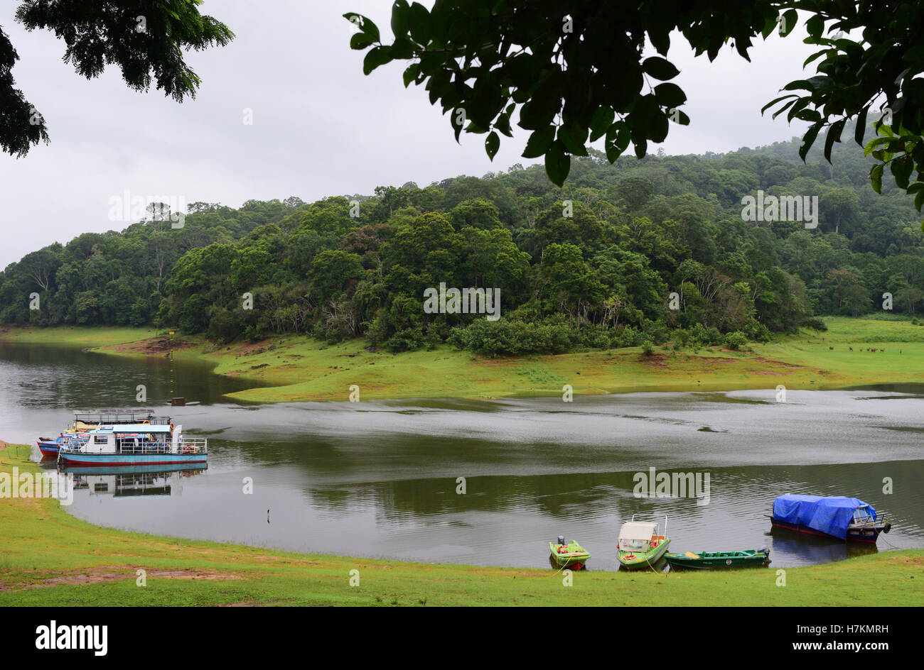 Thekkady Tourism Thekkady lake Periyar Wildlife Sanctuary and Periyar River view Thekkady Boating Kerala India Stock Photo