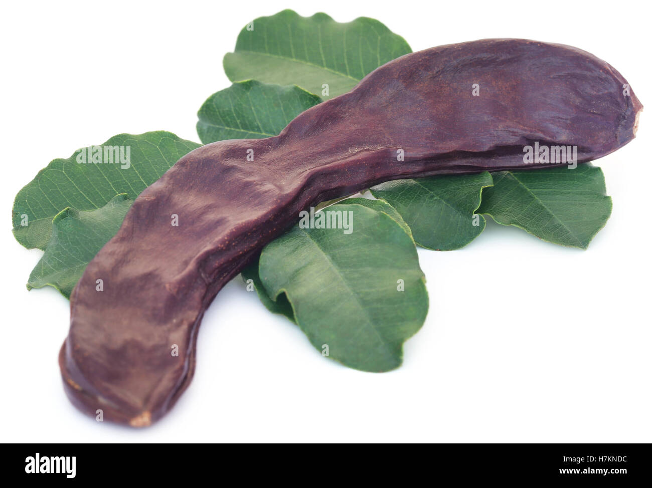 Edible carob fruits with green leaves over white background Stock Photo