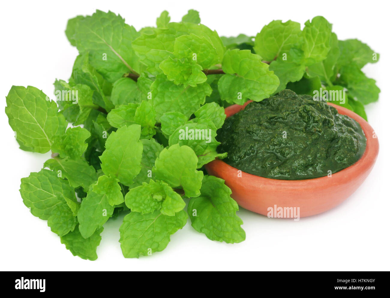 Bunch of mint leaves with ground paste in a pottery over white background Stock Photo