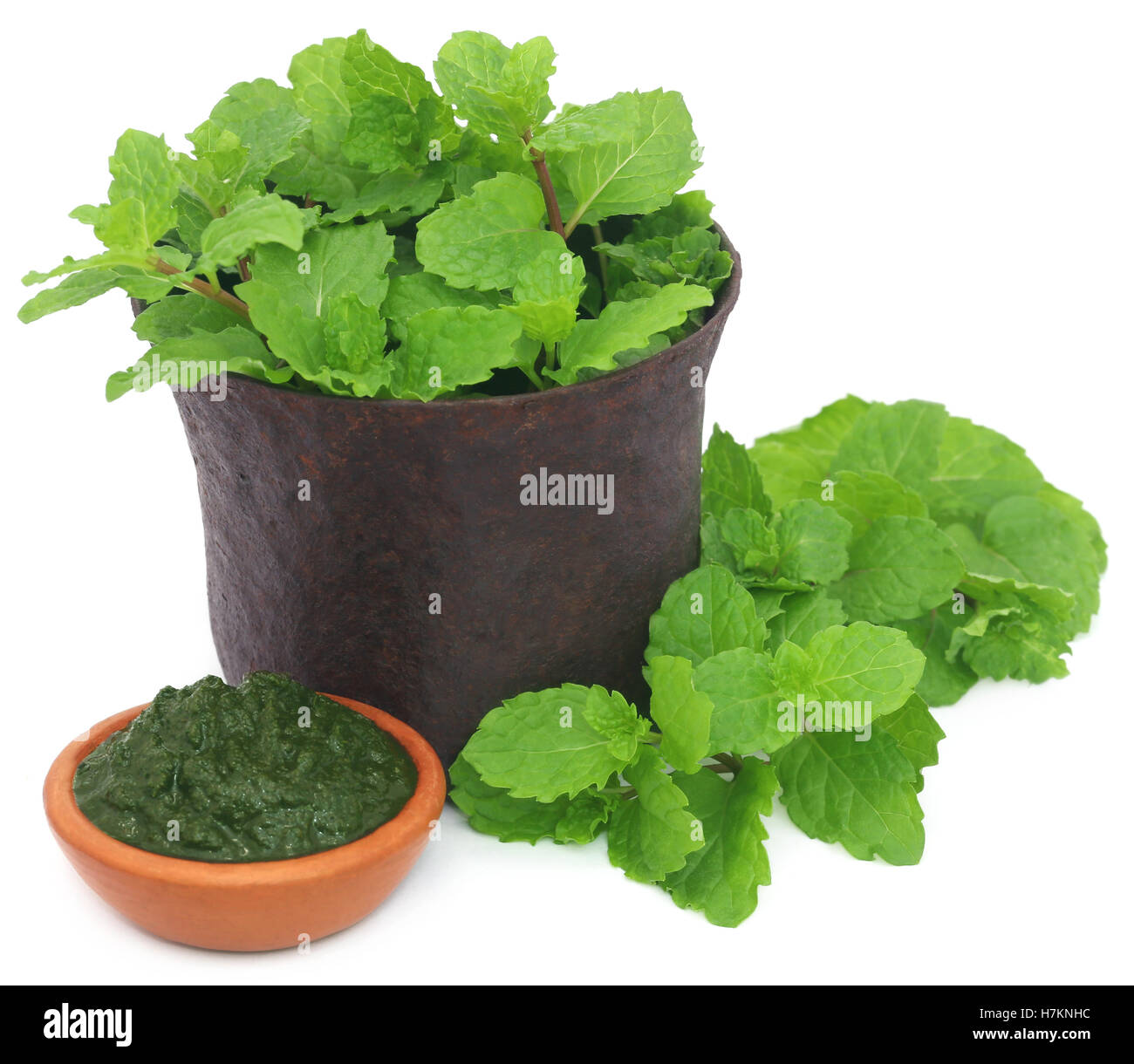Bunch of mint leaves in a mortar with ground paste in a pottery overw white background Stock Photo