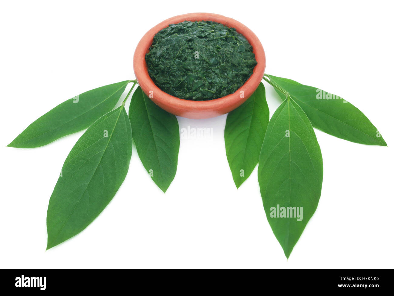 Medicinal pigeon pea leaves with ground paste over white background