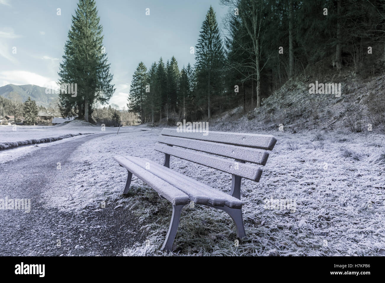 Frozen bench near forest Stock Photo