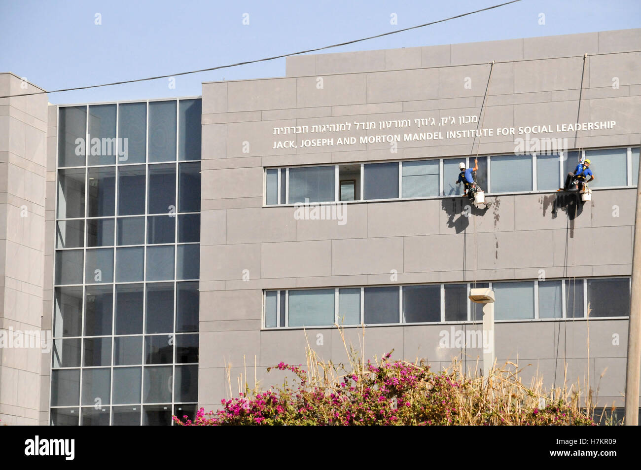 Window Rapelling Cleaning windows while rappelling Stock Photo - Alamy