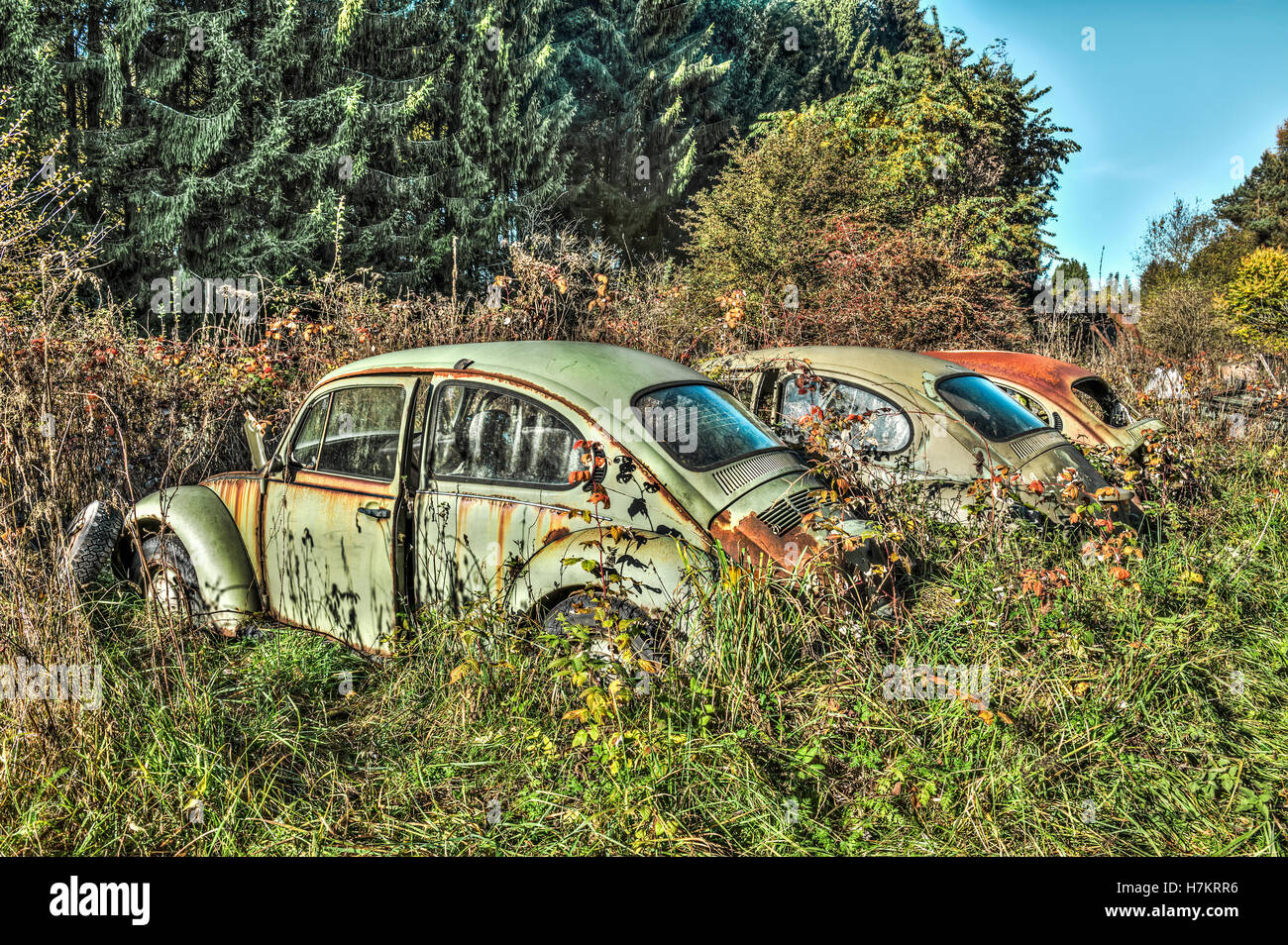 Three abandoned Beetles in a field Stock Photo