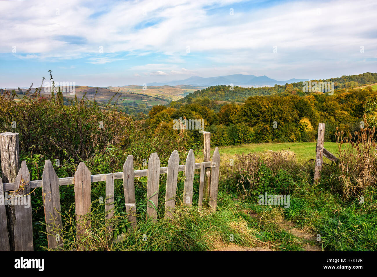 Meadow in forest wooden fence hi-res stock photography and images - Alamy