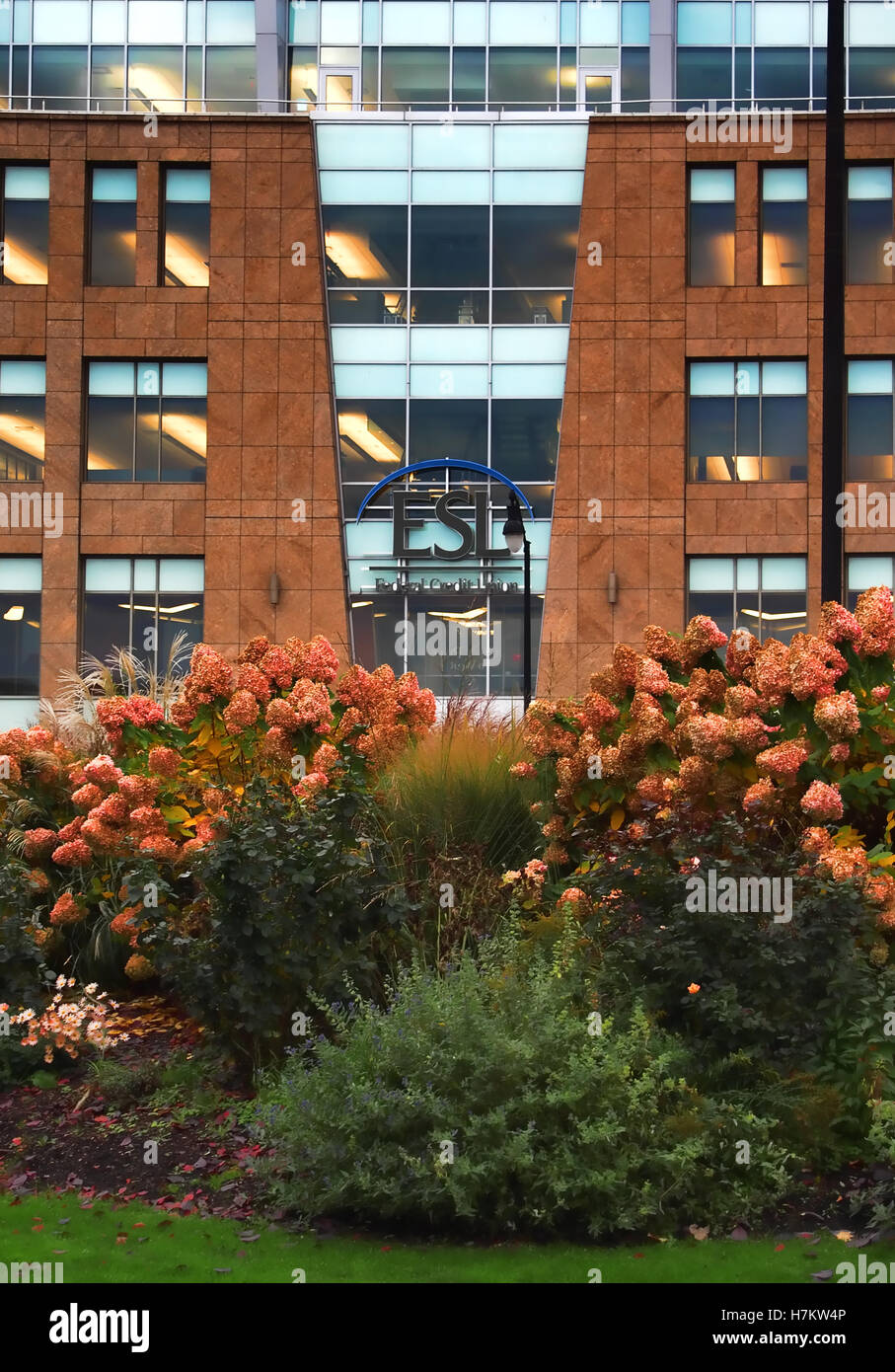 Esl Rochester Ny Esl hi-res stock photography and images - Alamy