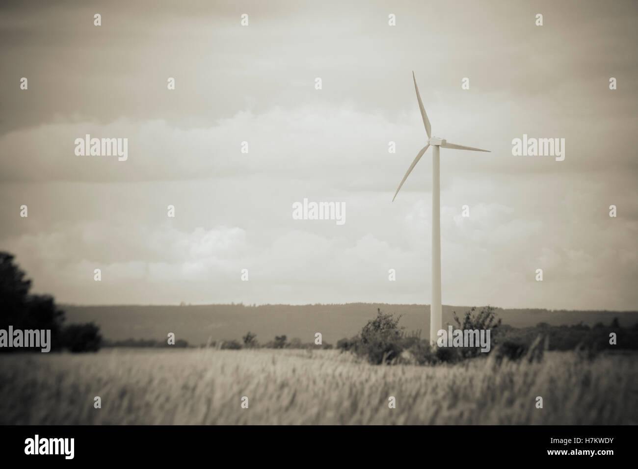 Wind power turbine and rural landscape in black and white. Sky with copy space. Concept of sustainable energy and production of Stock Photo
