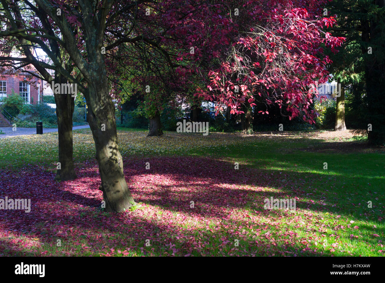 Glebe Gardens in Basingstoke town centre, Hampshire Stock Photo Alamy