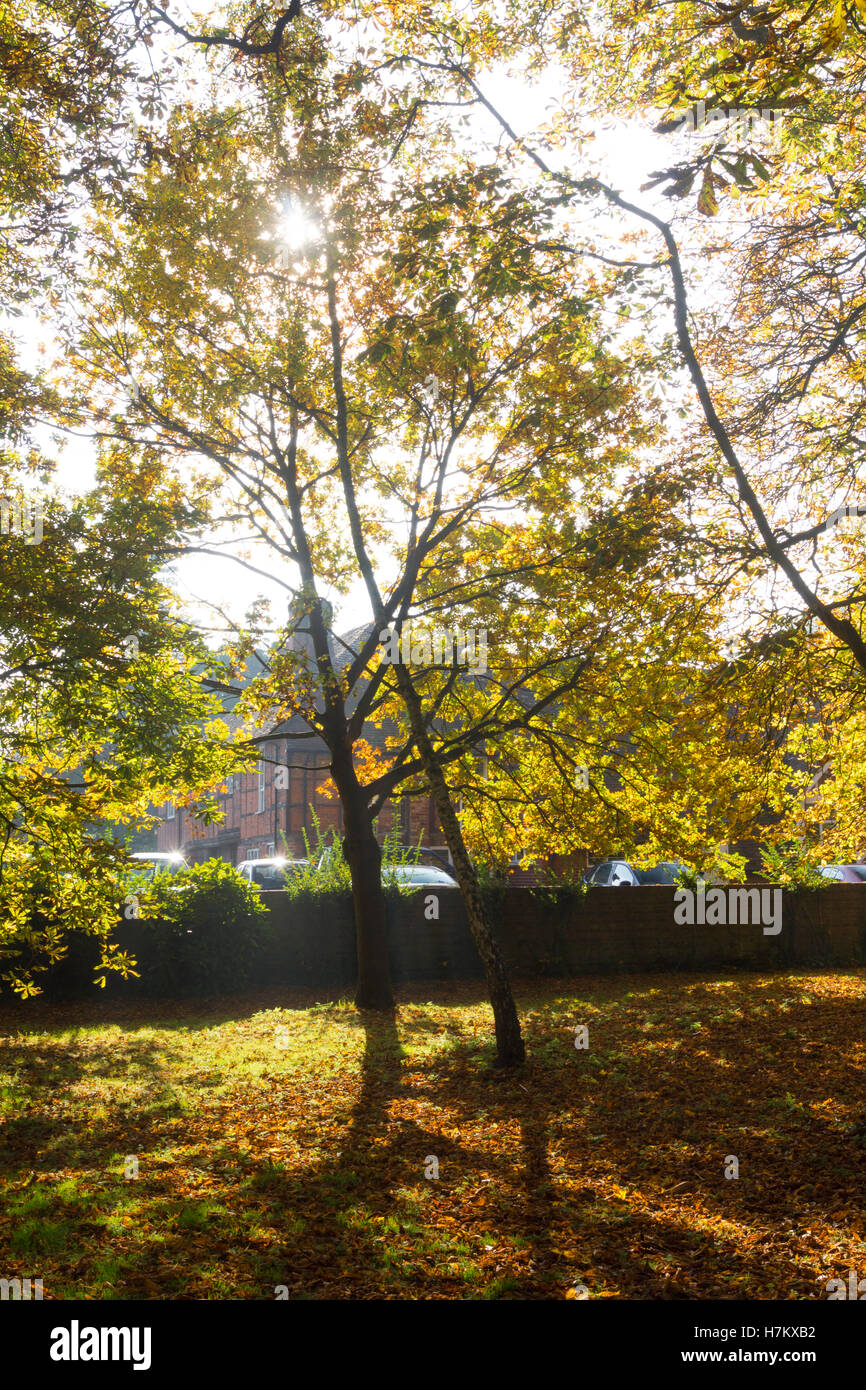 Glebe gardens in basingstoke town hires stock photography and images