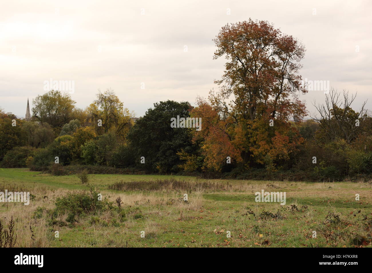 Hampstead Heath in Autumn Stock Photo - Alamy