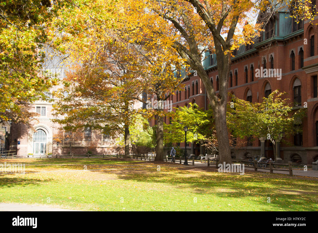 Yale University Stock Photo Alamy